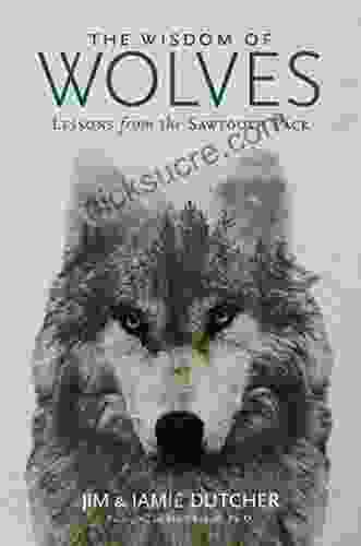 The Wisdom Of Wolves: Lessons From The Sawtooth Pack