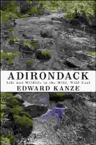 Adirondack: Life And Wildlife In The Wild Wild East (Excelsior Editions)