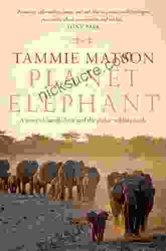 Planet Elephant Scott Freeman
