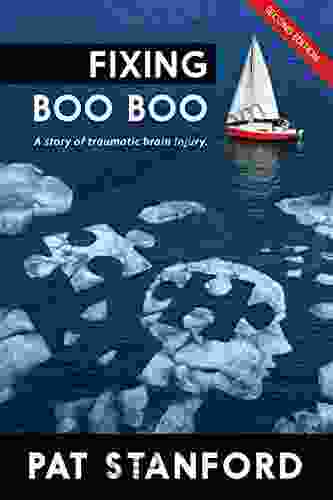 Fixing Boo Boo: A Story Of Traumatic Brain Injury