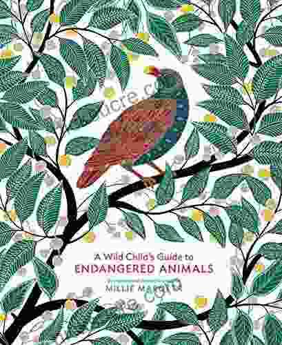 A Wild Child S Guide To Endangered Animals: (Endangered Species Wild Animal Guide About Animals Plant And Animal Animal Art Books)