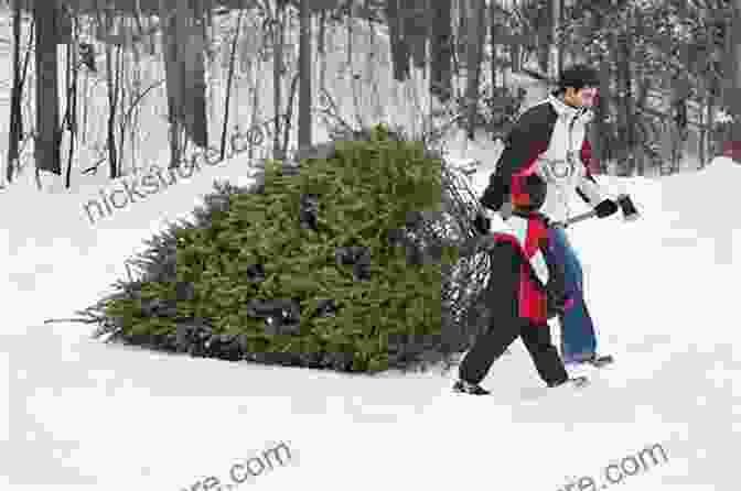A Family Cutting Down Their Christmas Tree In A Snowy Forest Vintage Christmas: Holiday Stories From Rural PEI