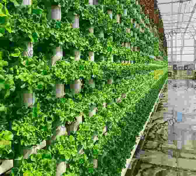 A Vertical Farm With Rows Of Plants Growing In Stacked Layers. The Chain: Farm Factory And The Fate Of Our Food