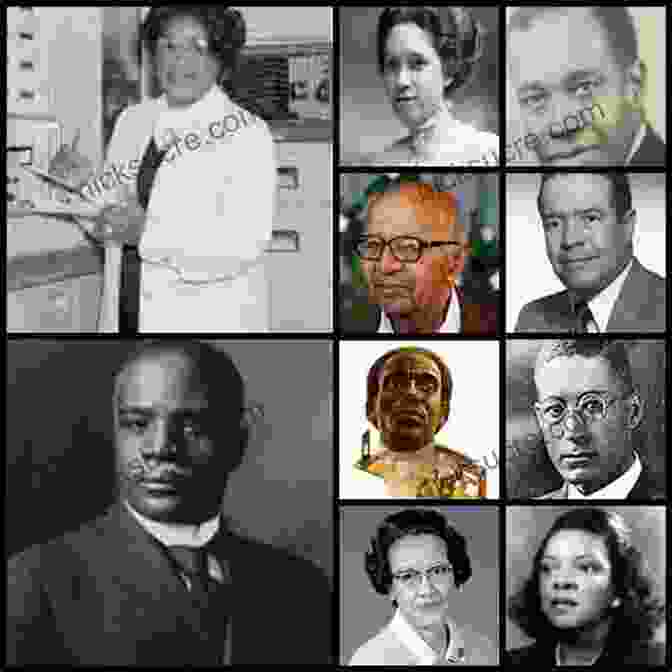 Black Mathematicians: A Legacy Of Excellence Beyond Banneker: Black Mathematicians And The Paths To Excellence
