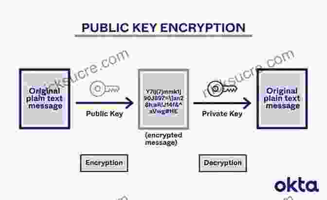Diagram Of Bitcoin's Public Key Cryptography System Bitcoin: Sovereignty Through Mathematics Knut Svanholm