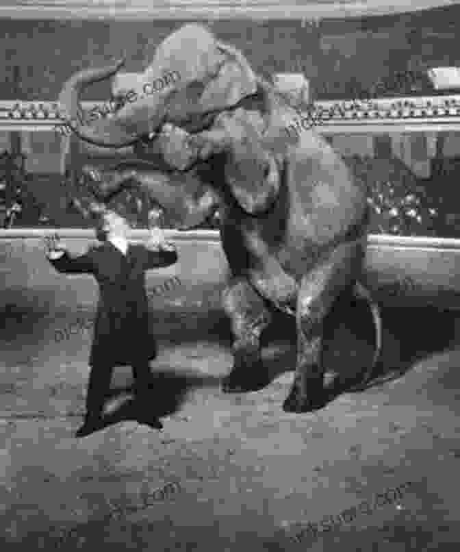 Houdini Making An Elephant Vanish On Stage Before An Astonished Audience. Harry Houdini: A Life From Beginning To End