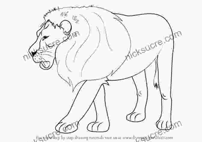 Lion Drawing How To Draw Zoo Animals: Step By Step Instructions For 26 Captivating Creatures (Learn To Draw)