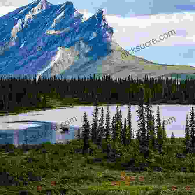 Majestic Mountains In Alaska, Soaring Towards The Heavens Lowell Thomas Jr : Flight To Adventure Alaska And Beyond