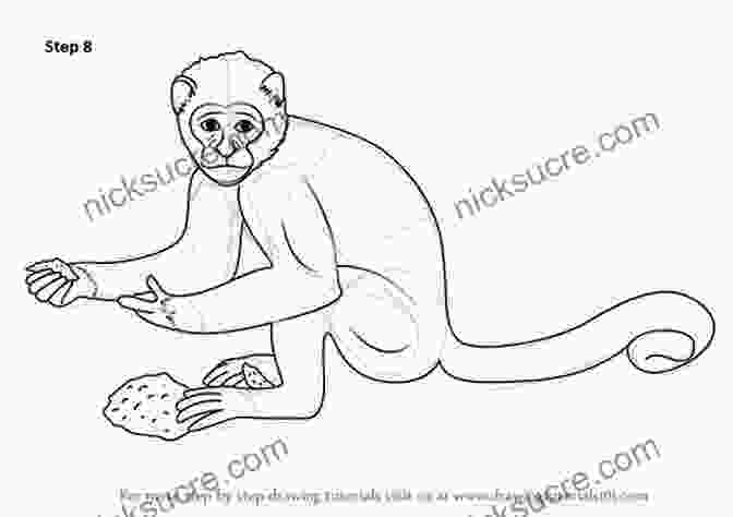 Monkey Drawing How To Draw Zoo Animals: Step By Step Instructions For 26 Captivating Creatures (Learn To Draw)