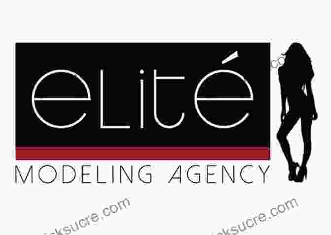 Next Models Logo Modeling Agencies In Chicago Mark Whitaker
