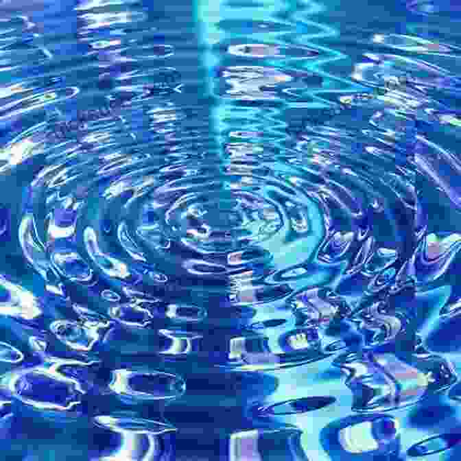 Ripples Spreading Outward From A Pebble Dropped Into A Pond, Illustrating The Ripple Effect. A Chain Of Events: The Government Cover Up Of The Black Hawk Incident And The Friendly Fire Death Of Lt Laura Piper: The Government Cover Up Of The Black The Friendly Fire Death Of Lt Laura Piper