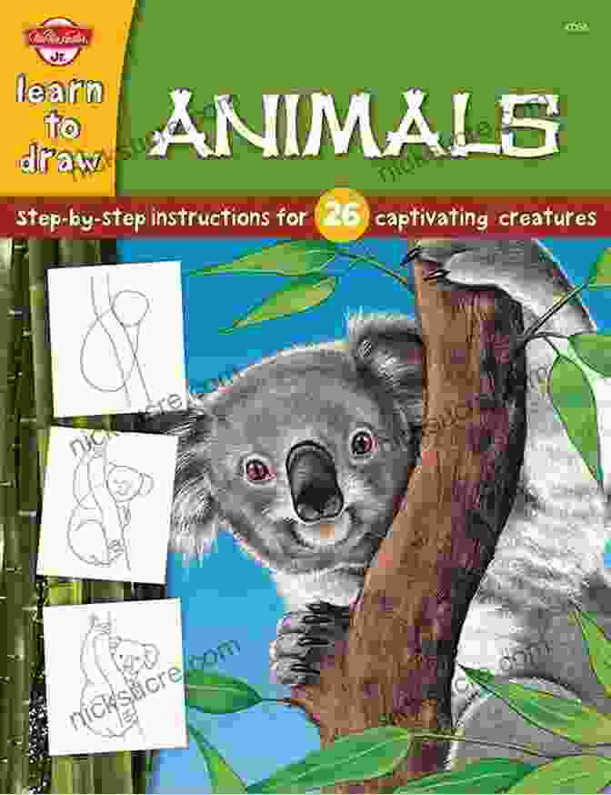 Tiger Drawing How To Draw Zoo Animals: Step By Step Instructions For 26 Captivating Creatures (Learn To Draw)
