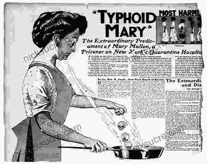 Typhoid Bacilli Typhoid Mary: An Urban Historical